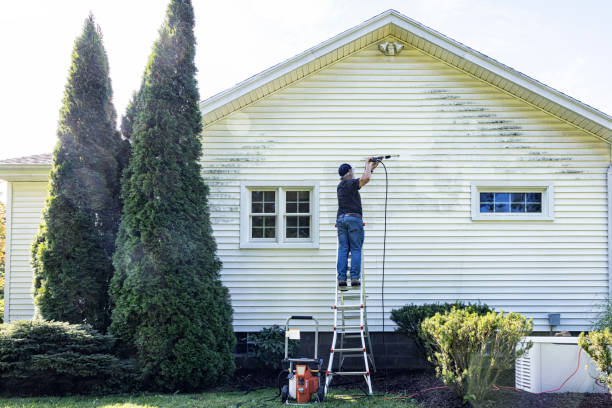 Best Sidewalk Pressure Washing  in Eunice, NM