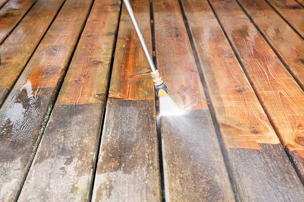 Best Pressure Washing Cost  in Eunice, NM